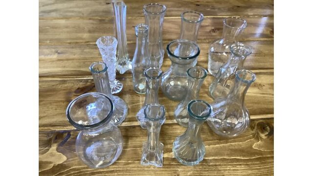 Vase Clear Glass Mixed 6-8 Inches Tall